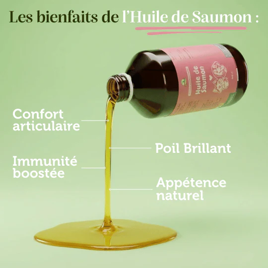 Huile de saumon
