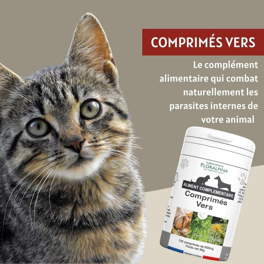 Complexe vers- Vermifuge Naturel pour Animaux (Chien et Chat) 100% Naturel