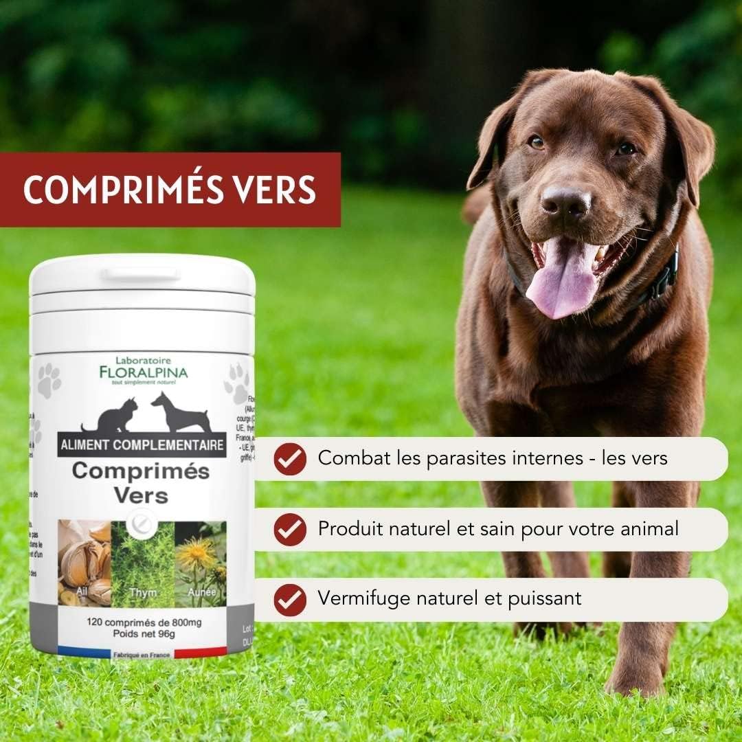 Complexe vers- Vermifuge Naturel pour Animaux (Chien et Chat) 100% Naturel