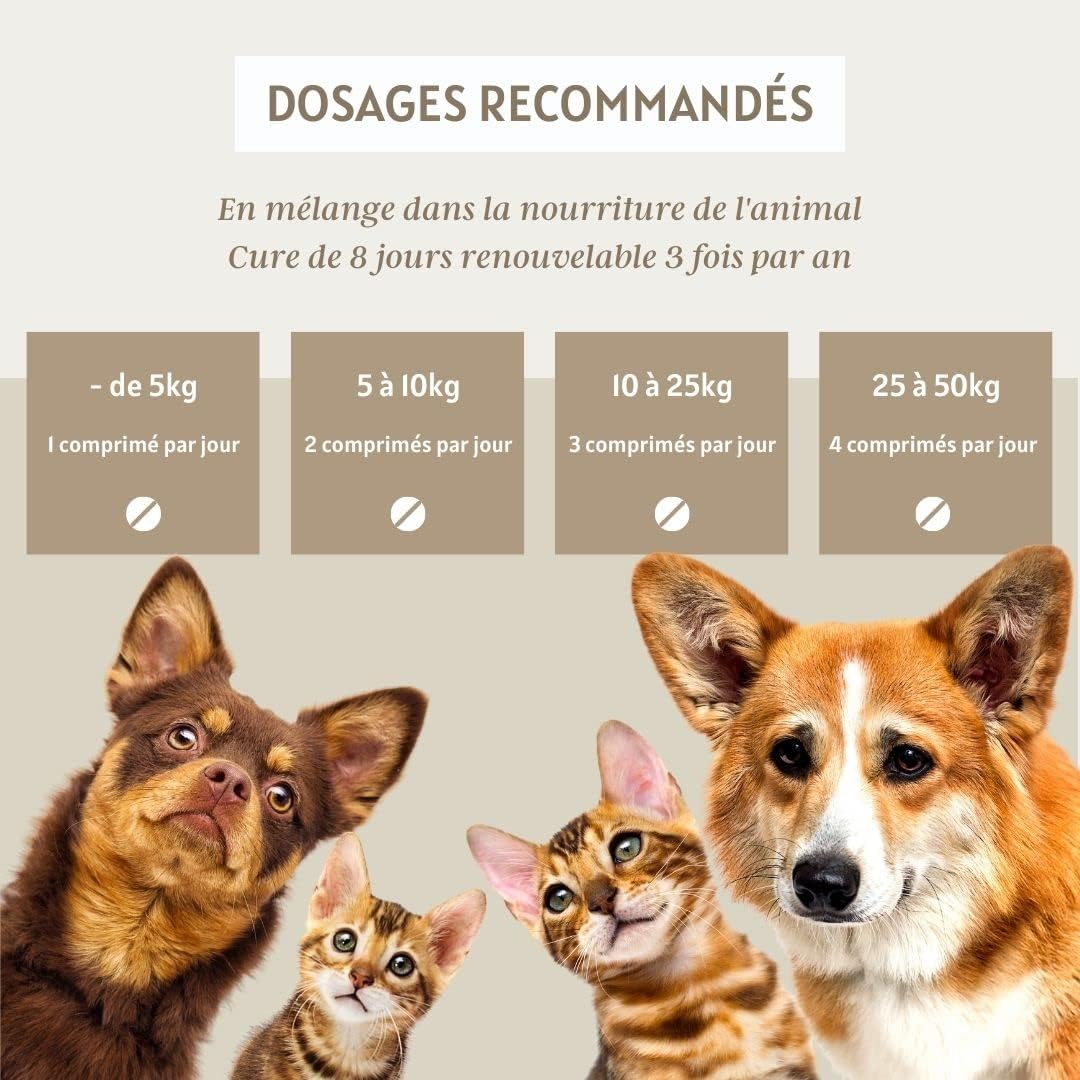 Complexe vers- Vermifuge Naturel pour Animaux (Chien et Chat) 100% Naturel