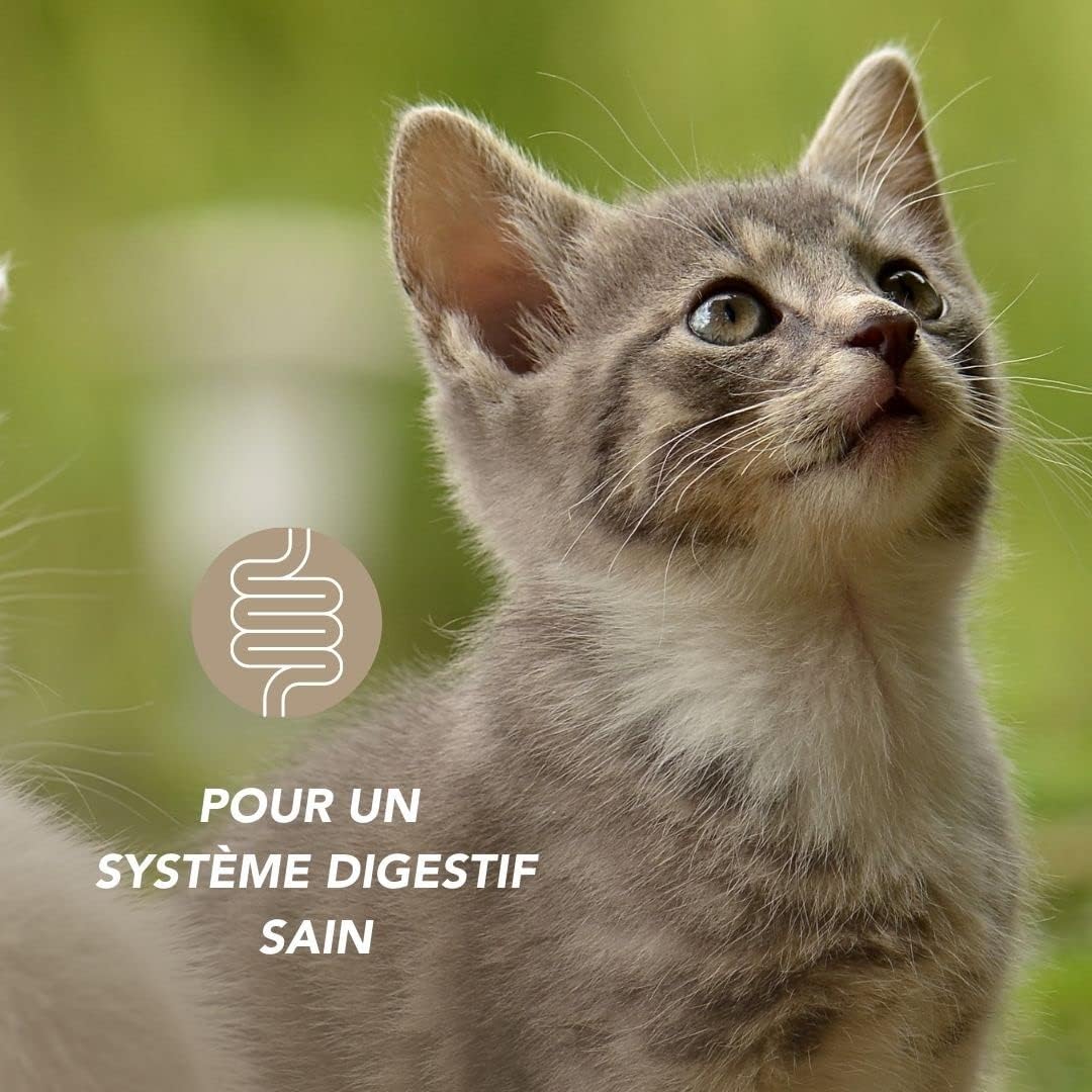 Complexe Flore Probiotique